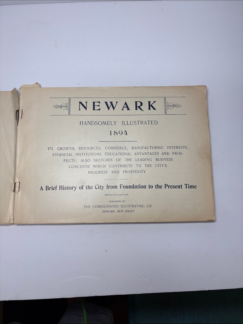 Newark Handsomely Illustrated Book 1894